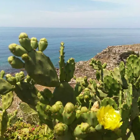 Casa Via Dante * 莱韦拉诺