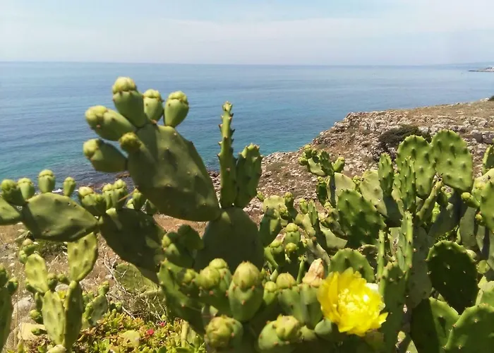 Casa Via Dante * לבראנו